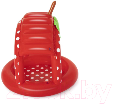 Надувной бассейн Bestway Very Berry 52387- фото2