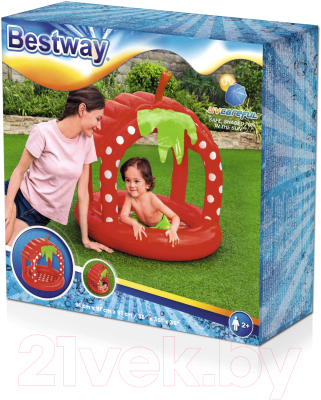 Надувной бассейн Bestway Very Berry 52387- фото6