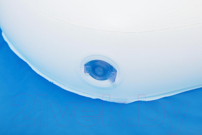 Надувной бассейн Bestway Summer Days 54337- фото4