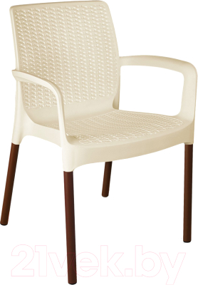 Стул садовый Sheffilton SHT-S68- фото