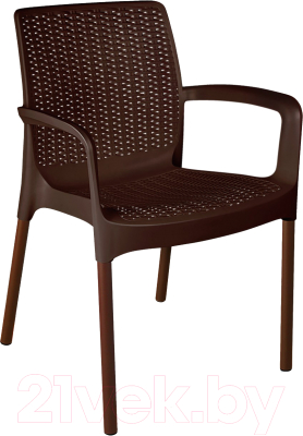 Стул садовый Sheffilton SHT-S68- фото