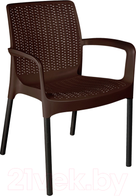 Стул садовый Sheffilton SHT-S68- фото