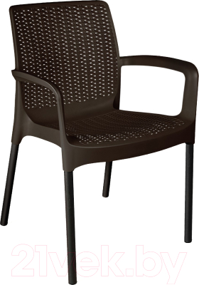 Стул садовый Sheffilton SHT-S68- фото