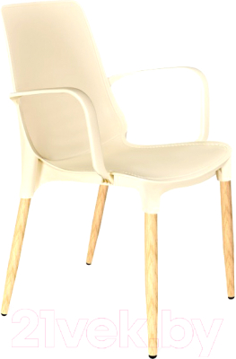 Стул садовый Sheffilton SHT-S76-1- фото