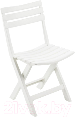 Стул складной Ipae Progarden Birki / BIR80CBI