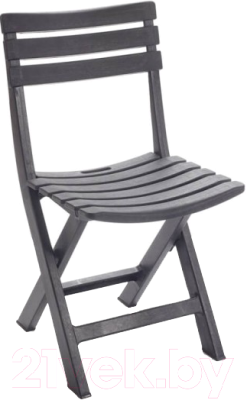 Стул складной Ipae Progarden Birki / BIR80CAN- фото