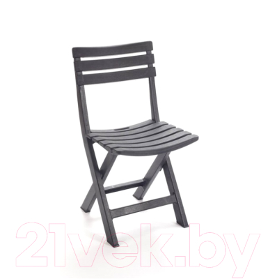 Стул складной Ipae Progarden Birki / BIR80CAN- фото3