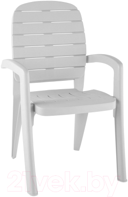 Стул пластиковый Ellastik Plast Прованс 58x46.5x90- фото