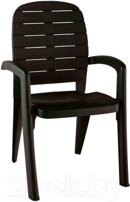 Стул пластиковый Ellastik Plast Прованс 58x46.5x90- фото