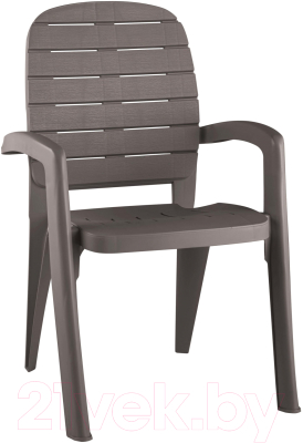 Стул пластиковый Ellastik Plast Прованс 58x46.5x90