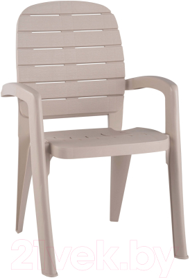 Стул пластиковый Ellastik Plast Прованс 58x46.5x90