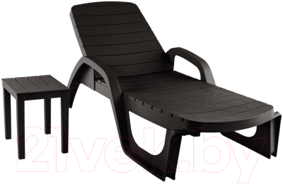 Шезлонг Ellastik Plast Прованс 190x70x32- фото2