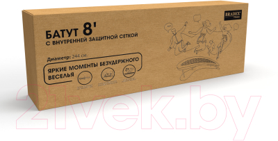 Батут Bradex 8Ft / SF 0713- фото2