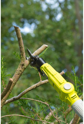 Высоторез аккумуляторный Ryobi RY18PLA-0- фото9