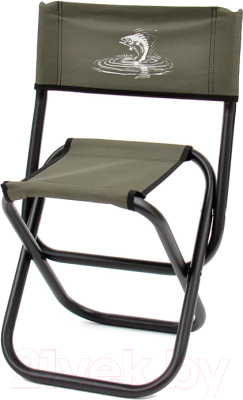 Стул складной НПО Кедр Max малый / SSM-01- фото