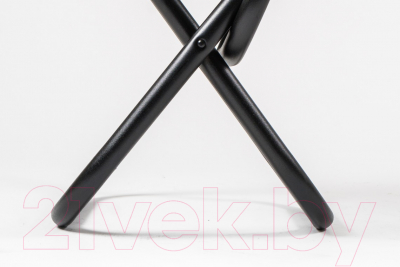 Стул складной НПО Кедр Max средний / SSM-02- фото2