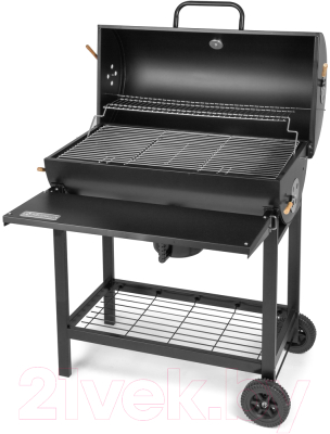 Угольный гриль Fieldmann FZG 1007- фото2