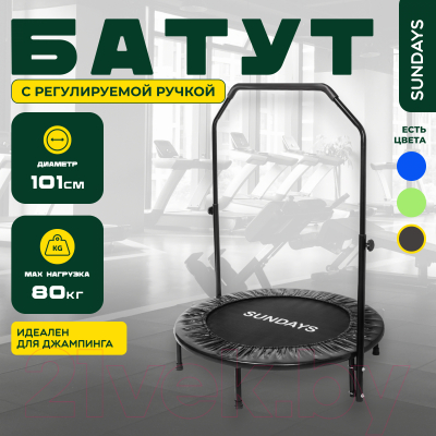 Батут Sundays D101 (черный, с ручкой)- фото