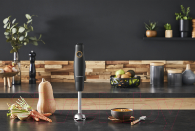 Блендер погружной Moulinex DD46E810- фото4, картинка4 Блендер погружной Moulinex DD46E810- фото4