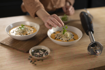 Блендер погружной Moulinex DD46E810- фото8, картинка8 Блендер погружной Moulinex DD46E810- фото8