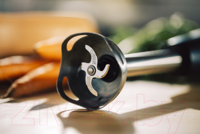 Блендер погружной Moulinex DD46E810- фото9, картинка9 Блендер погружной Moulinex DD46E810- фото9