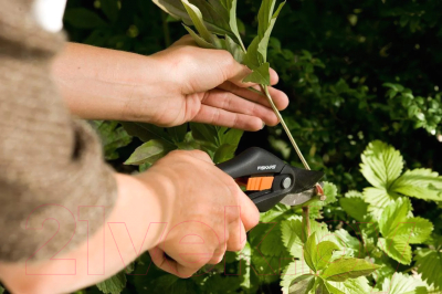 Секатор Fiskars 1000567- фото2