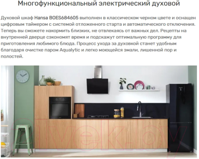 Электрический духовой шкаф Hansa BOES684605- фото2