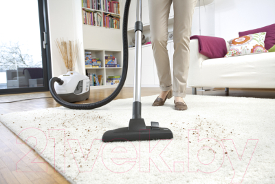Пылесос Karcher DS 6 Premium Plus White- фото7