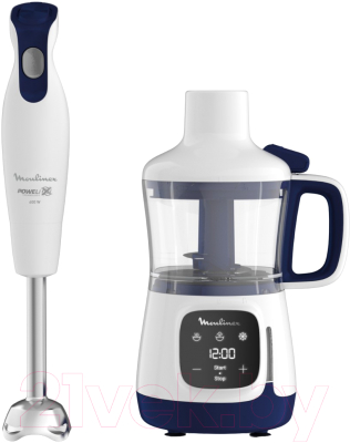 Блендер стационарный Moulinex DD55W110- фото, картинка Блендер стационарный Moulinex DD55W110- фото