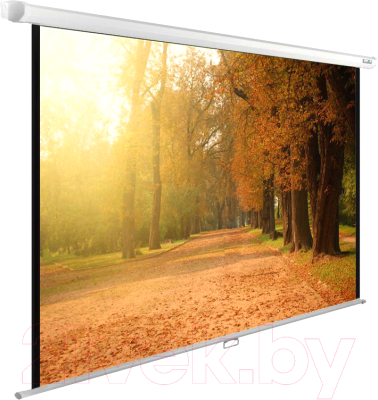 Проекционный экран Cactus CS-PSWE-200X125-WT- фото2, картинка2 Проекционный экран Cactus CS-PSWE-200X125-WT- фото2