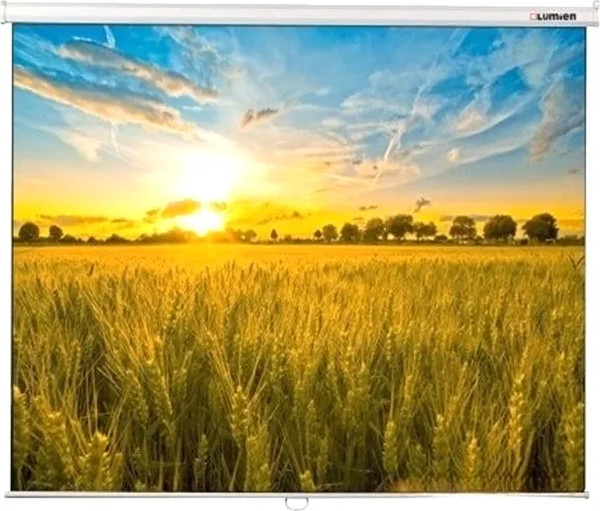 Проекционный экран Lumien Eco Picture 142x200 / LEP-100117