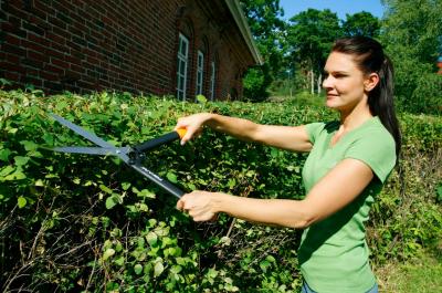 Кусторез Fiskars 114750- фото2
