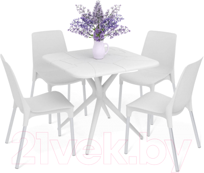 Комплект садовой мебели Sheffilton SHT-DS205- фото, картинка Комплект садовой мебели Sheffilton SHT-DS205- фото