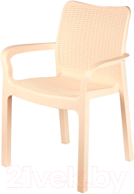 Стул пластиковый Ingreen Rattan / ING6182СЛВ- фото