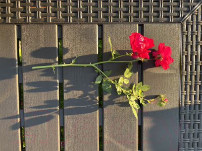 Стол пластиковый Ingreen Rattan / ING6183ГШК- фото4