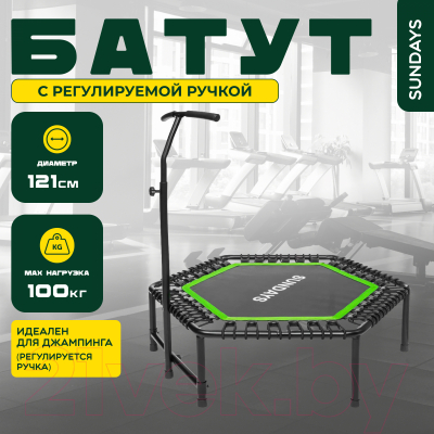 Батут Sundays Favorite 48
