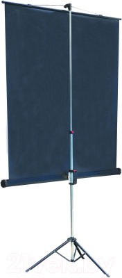 Проекционный экран Lumien Master View 244x244 / LMV-100105- фото3, картинка3 Проекционный экран Lumien Master View 244x244 / LMV-100105- фото3