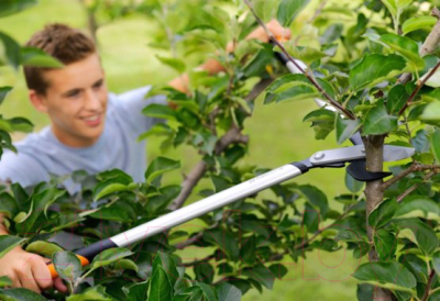Сучкорез Fiskars LX94 PowerGear 1020187- фото5