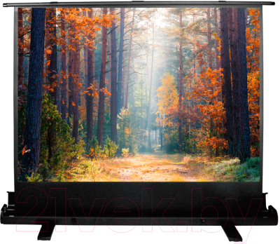 Проекционный экран Cactus FloorExpert CS-PSFLE-180X135- фото2, картинка2 Проекционный экран Cactus FloorExpert CS-PSFLE-180X135- фото2