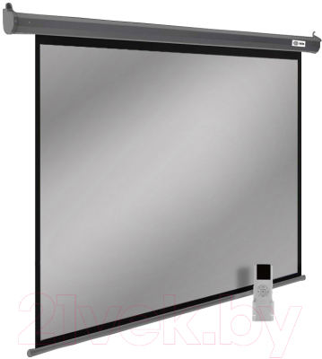 Проекционный экран Cactus SIlverMotoExpert CS-PSSME-200X150-DG - фото, картинка Проекционный экран Cactus SIlverMotoExpert CS-PSSME-200X150-DG