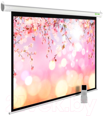 Проекционный экран Cactus MotoExpert CS-PSME-220X220-WT- фото2
