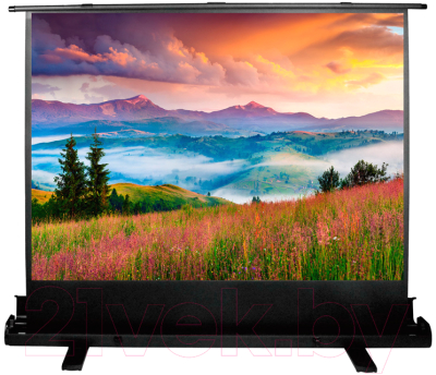 Проекционный экран Cactus FloorExpert CS-PSFLE-120X68- фото6