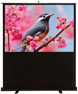 Проекционный экран Cactus FloorCompactExpert CS-PSFLCE-120X90- фото3, картинка3 Проекционный экран Cactus FloorCompactExpert CS-PSFLCE-120X90- фото3