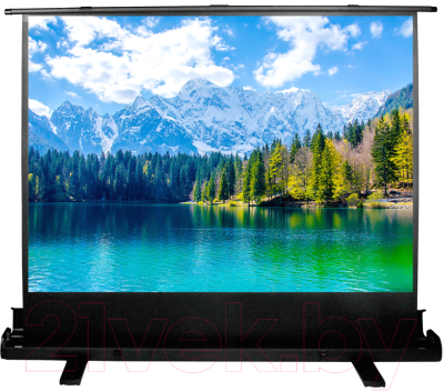 Проекционный экран Cactus FloorExpert CS-PSFLE-160X90- фото2