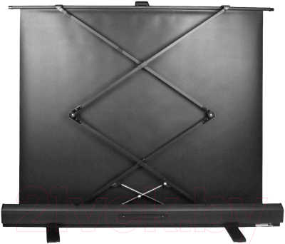 Проекционный экран Cactus FloorExpert CS-PSFLE-160X90- фото4