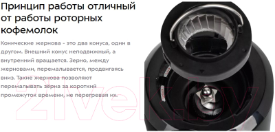 Кофемолка Kitfort KT-7117- фото3