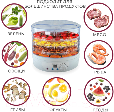 Сушилка для овощей и фруктов Supra DFS-650- фото3