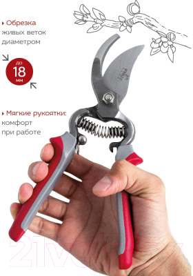 Секатор Frut Club 402217- фото4