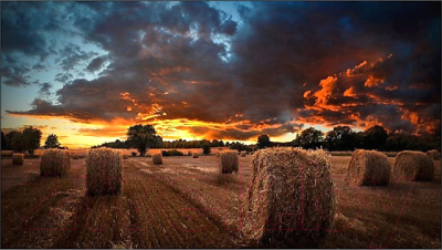 Информационная панель Samsung VM46B-U / LH46VMBUBGBXCI- фото