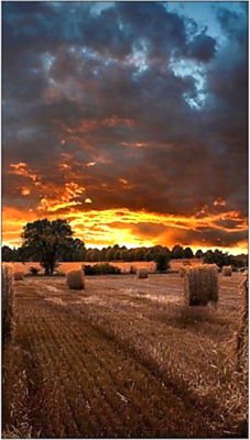 Информационная панель Samsung VM46B-U / LH46VMBUBGBXCI- фото4